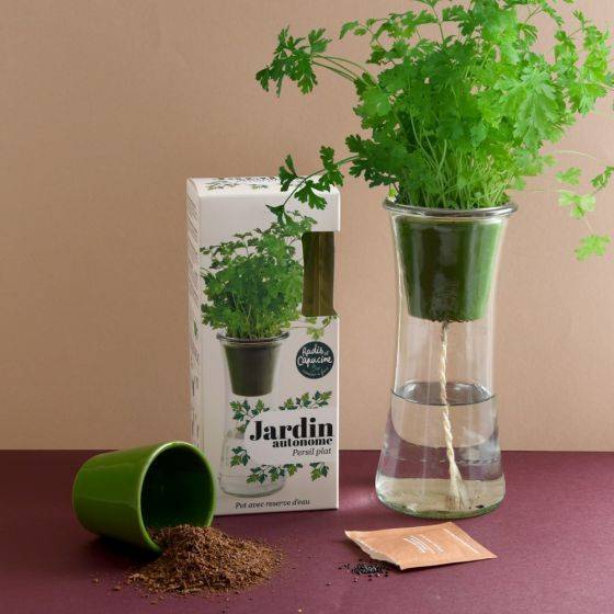 Radis et Capucine - Radis et Capucine - Jardín autónomo - Perejil orgánico - Imagen 4