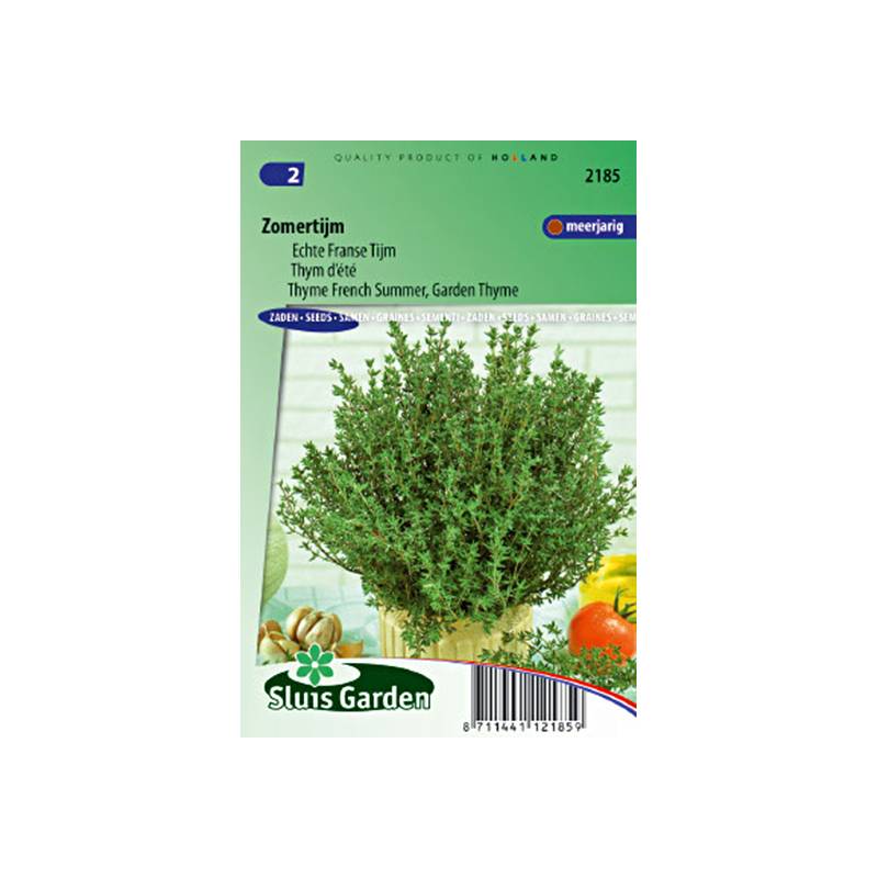 Thym d'été - Thymus vulgaris le sachet de 1000 graines environ (0,2g)