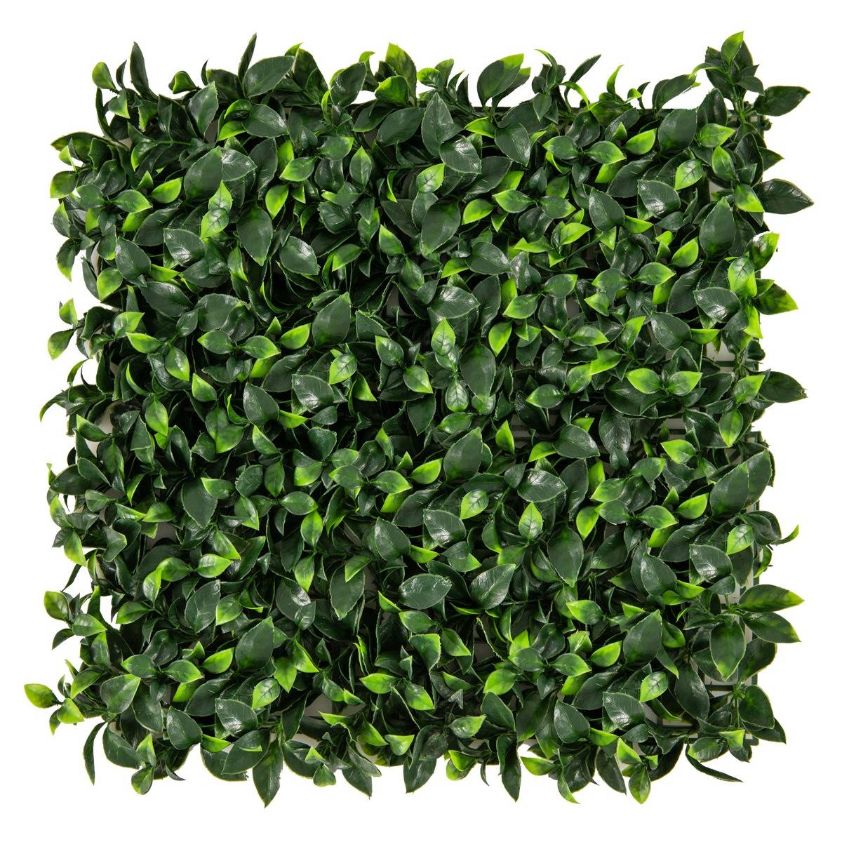 12 Haie d'Intimité Panneaux Muraux en Gazon Artificiel 50 x 50cm Panneaux d'Arbustes en Imitation Topiaire de Gardénia Murale - Image 5