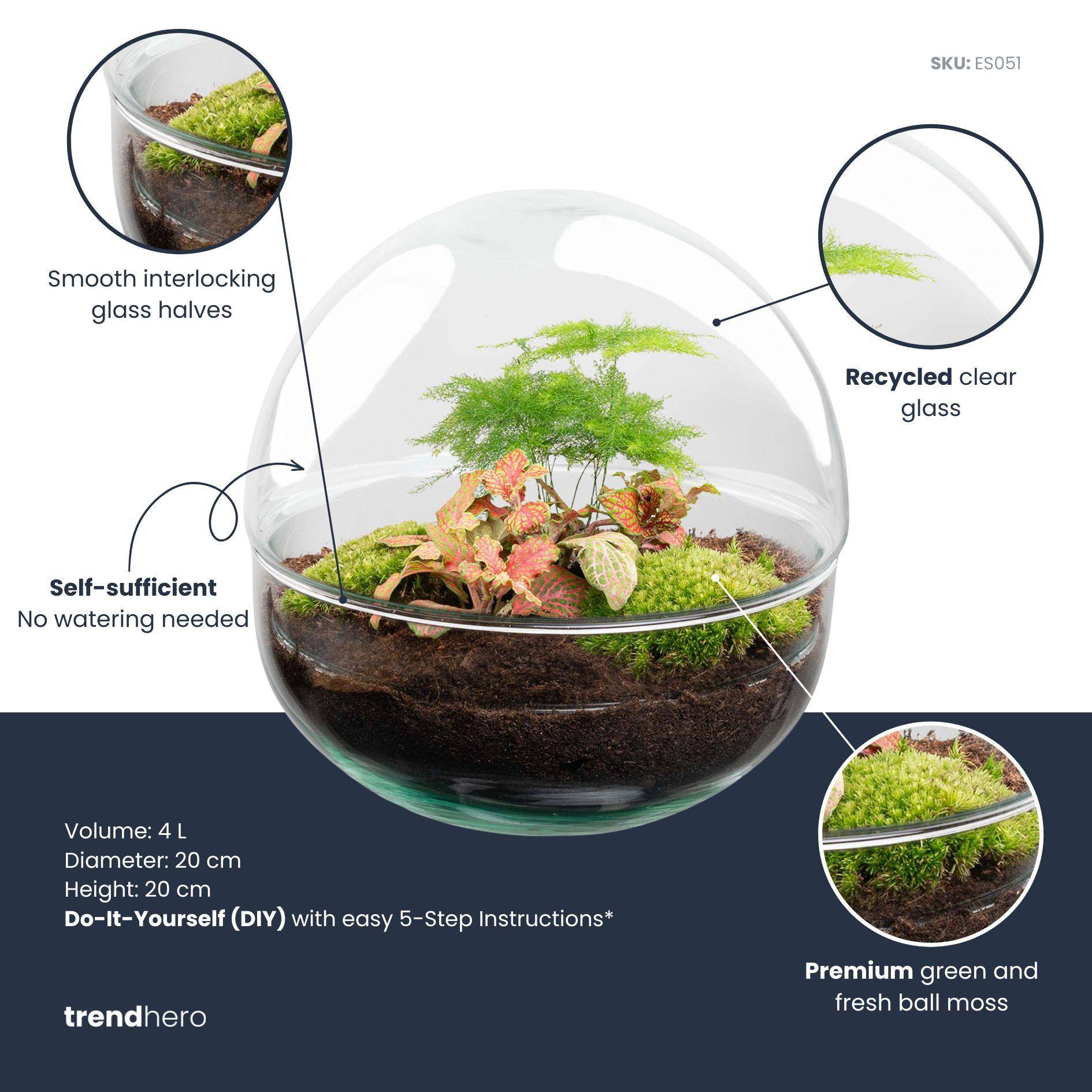 Terrarium à composer boule en verre recyclé - Ø20-H20cm - sans outils - variété rouge - Terrarium DIY - Image 2