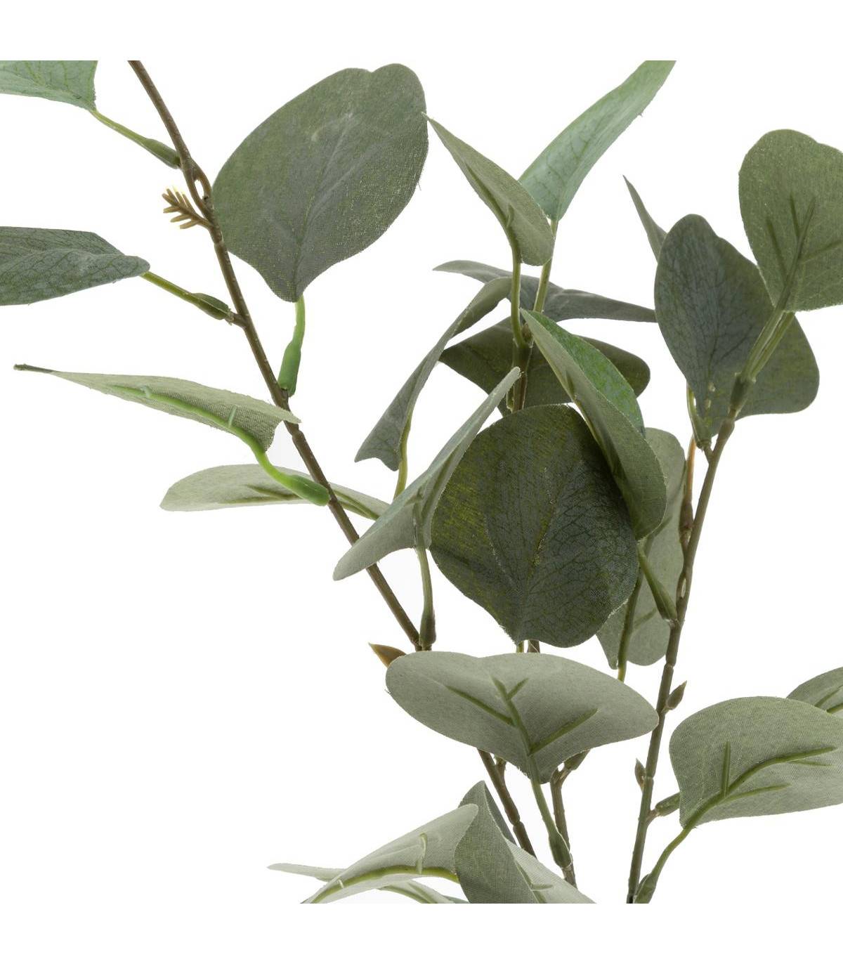 Composition artificielle Branche d'Eucalyptus Vase en Verre H 48 cm - Image 2