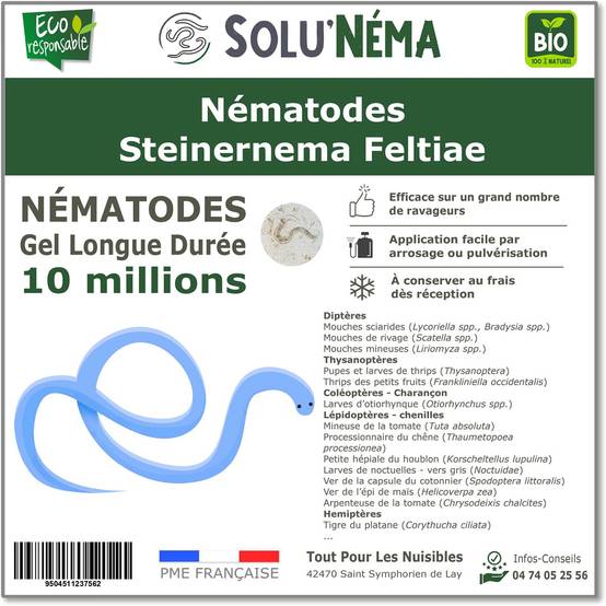 Tout pour les nuisibles - SOLUNEMA - Nématodes Steinernema Feltiae (SF) - 10 Millions - Image 1