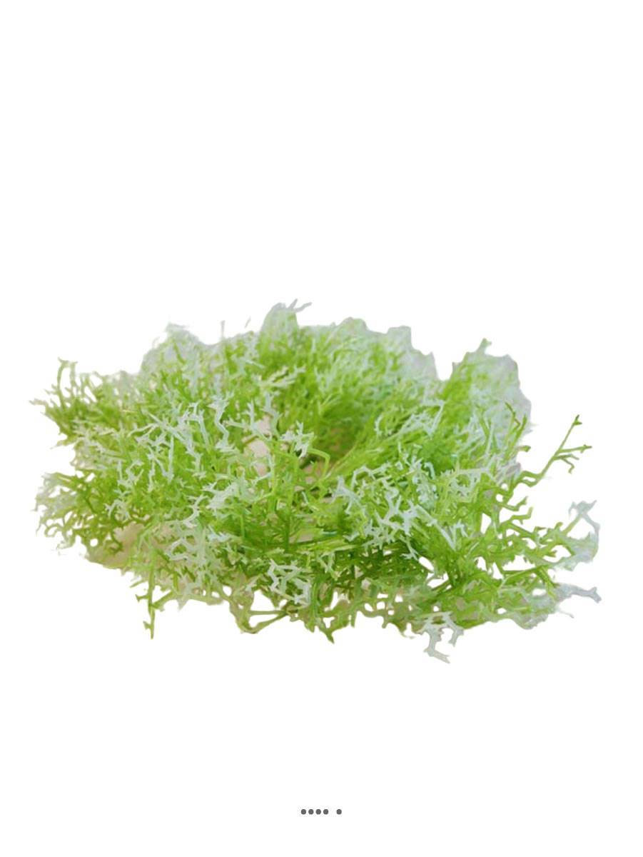 Artificielles - Piquet d'herbe de Corail factice H30cm plastique extérieur Blanc-vert - couleur: Blanc-vert - Imagen 1