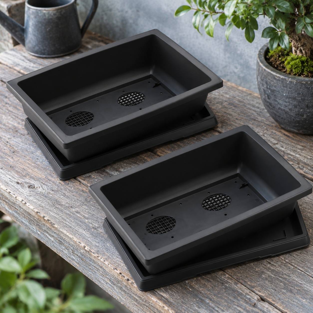 Set de 4 Pots Bonsaï Rectangulaires avec Soucoupes en Plastique - Image 5