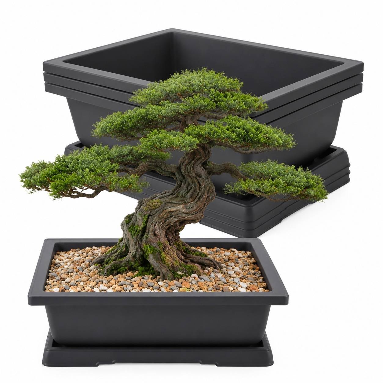Set de 4 Pots Bonsaï Rectangulaires avec Soucoupes en Plastique