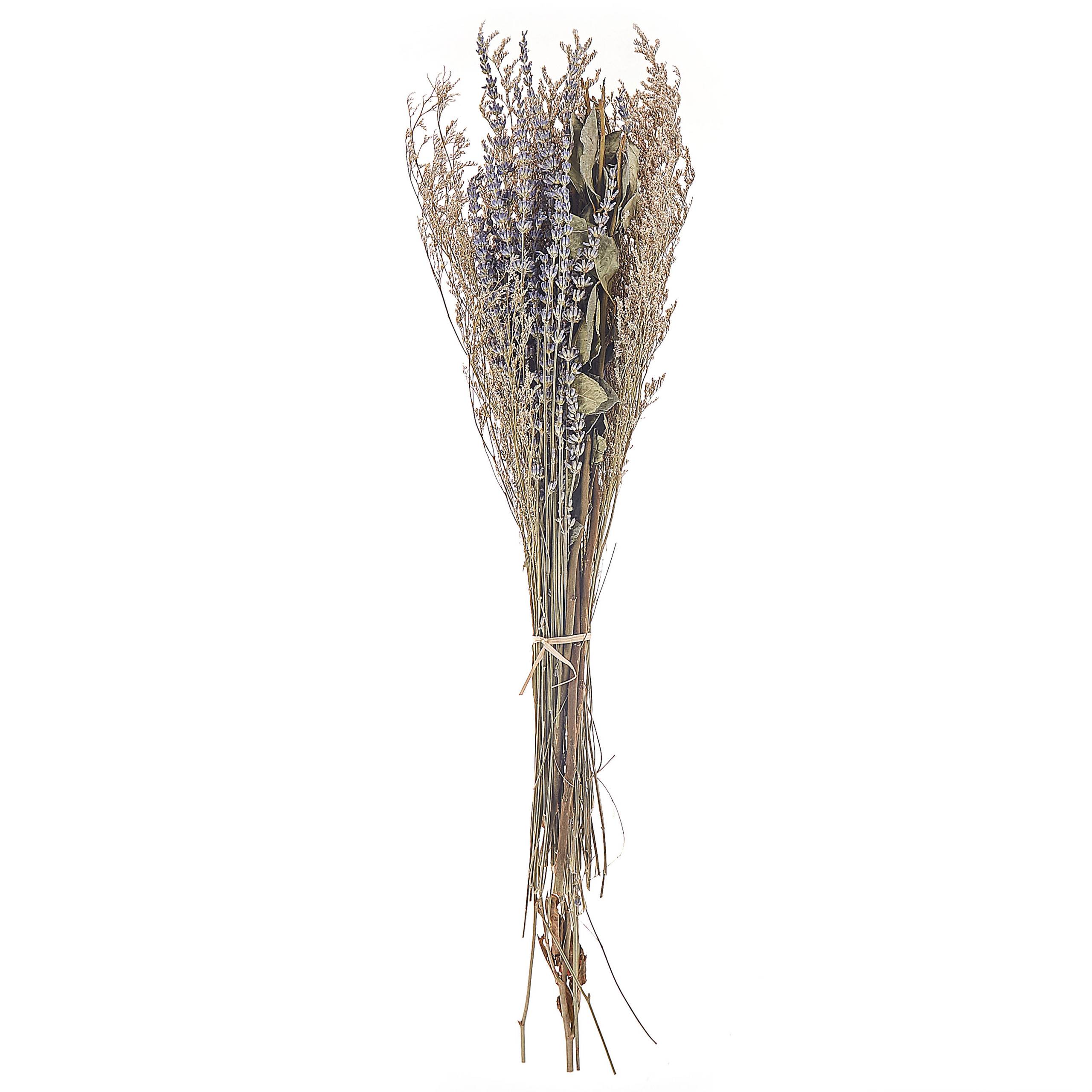 Beliani - Bouquet de fleurs séchées Fleurs séchées Naturel NAWARRA - 20x6x70- Beliani - Image 2