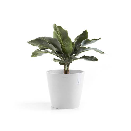 Ecopots - Pot Rond Amsterdam 30 Blanc Pur + réservoir d'eau - Ø 30 x H. 26,3 cm - 12,8 L ECOPOTS - Imagen 2