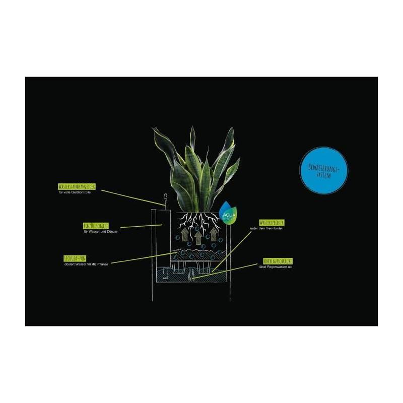 Lechuza - Pot De Fleur Lechuza Canto Stone Colonne 40 - Kit Complet, Beige Sable - Imagen 4
