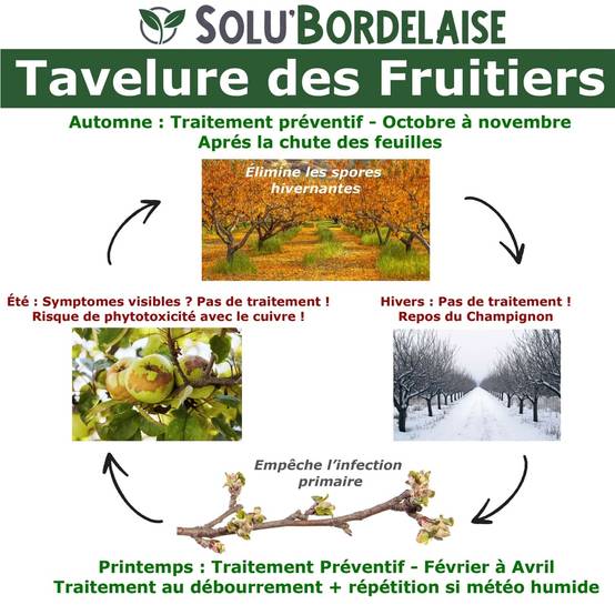 Solu'Bordelaise - Tavelure des Fruitiers - 5 kg de Bouillie Bordelaise Non Colorée- Polyvalent à base de Sulfate de Cuivre 200 g/kg-Doseur inclus-UAB - Image 2