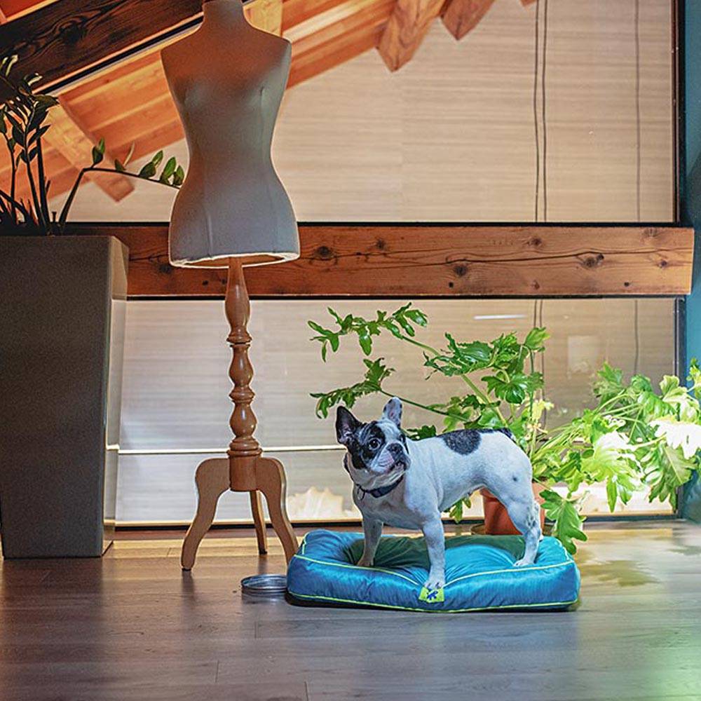 Ferplast - FERPLAST Panier Chien Chat - Coussin Orthopédique Chien - Lavable en Machine - Tapis Chien - Lit Chat Chien - Imperméable & Anti-Rayures - Rembourrage - Imagen 4