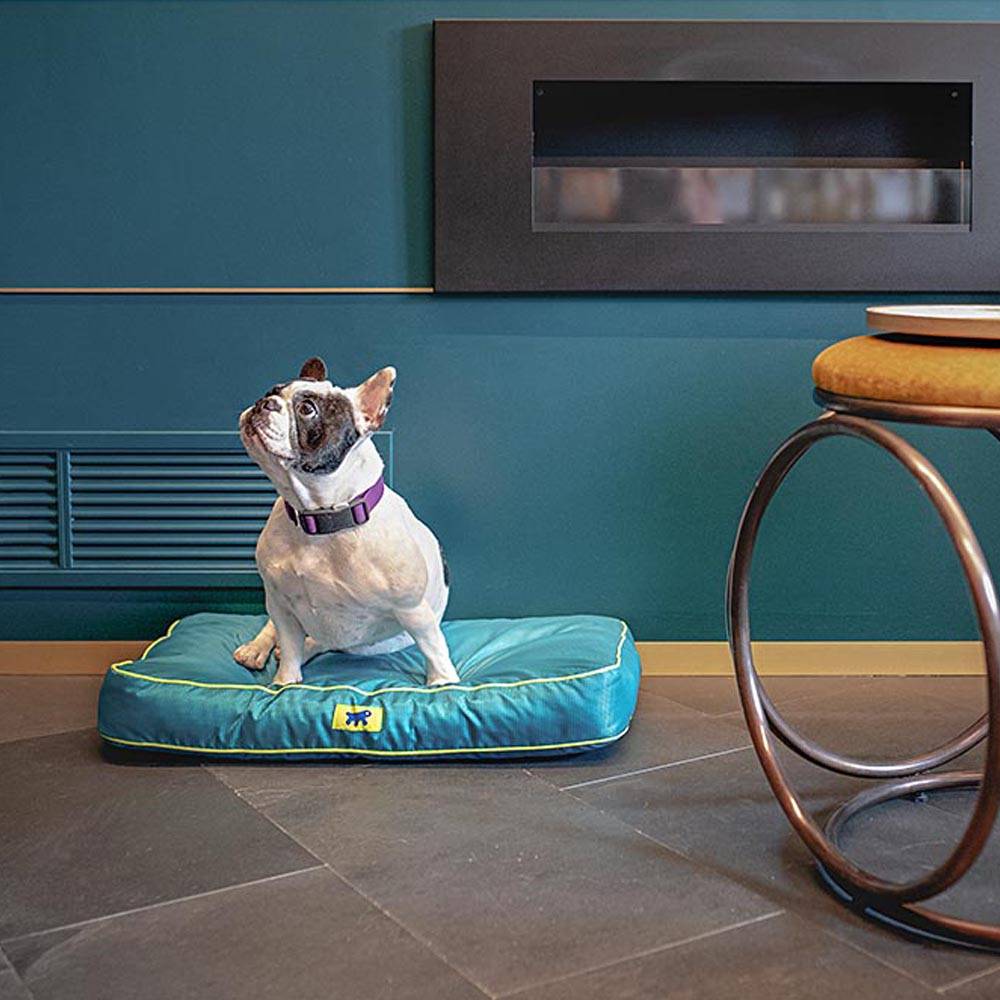 Ferplast - FERPLAST Panier Chien Chat - Coussin Orthopédique Chien - Lavable en Machine - Tapis Chien - Lit Chat Chien - Imperméable & Anti-Rayures - Rembourrage - Imagen 3
