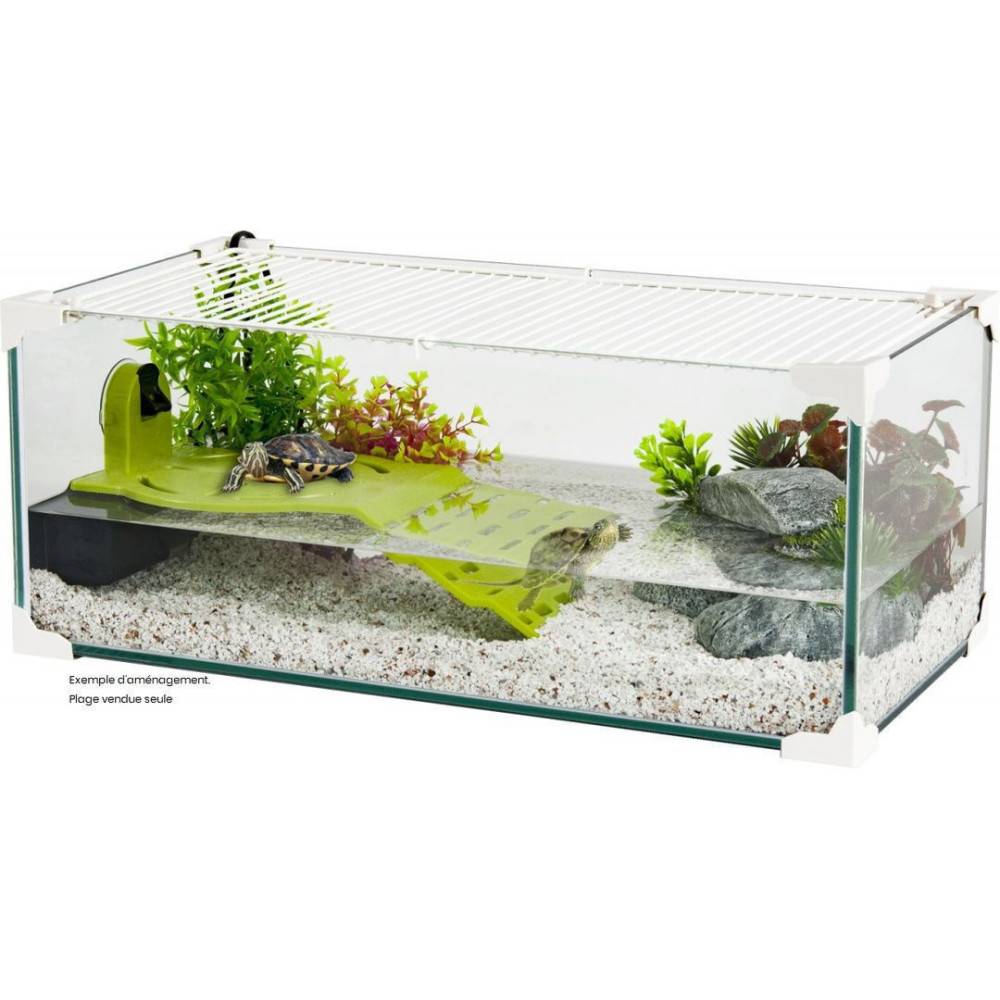Plage karapas vert pour tortues, 33 cm. - Imagen 3