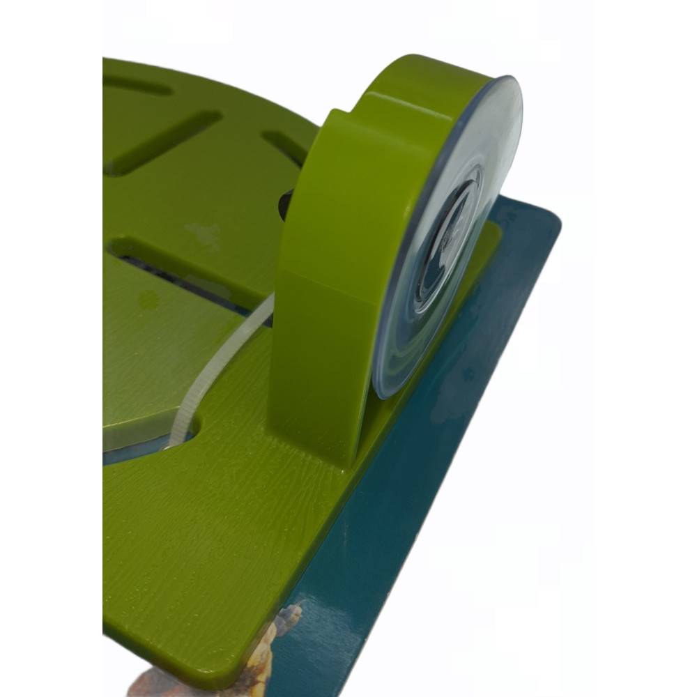 Plage karapas vert pour tortues, 33 cm. - Image 4