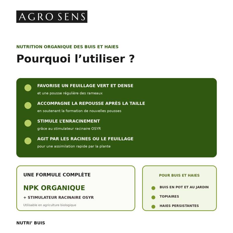 Nutri Buis - Engrais liquide pour buis et conifères - 1 litre (500 litres de préparation) - Image 2