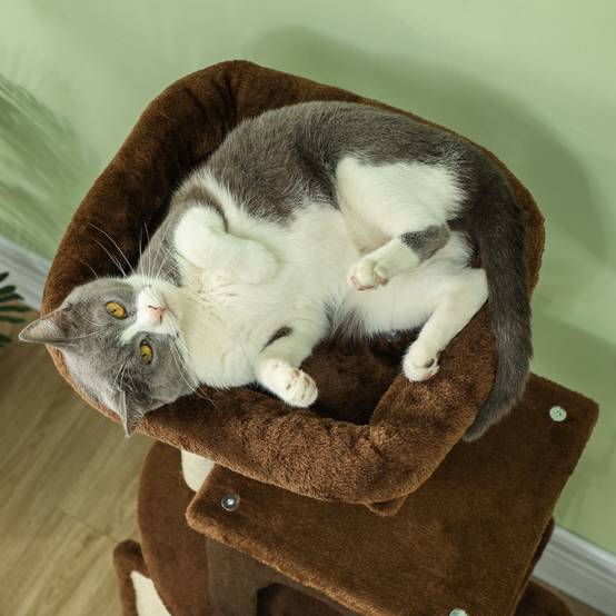 Arbre à Chats 104 cm avec Niche Brosse de Massage Griffoir et Jouets Suspendus Marron - ComfortXL Outdoor Living - Image 10