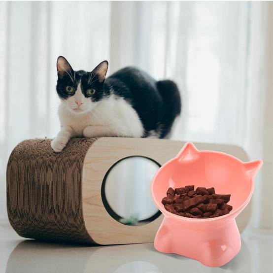 Bol surélevé Anti-Renversement pour Chien/Chat-IntiMeg - Image 6