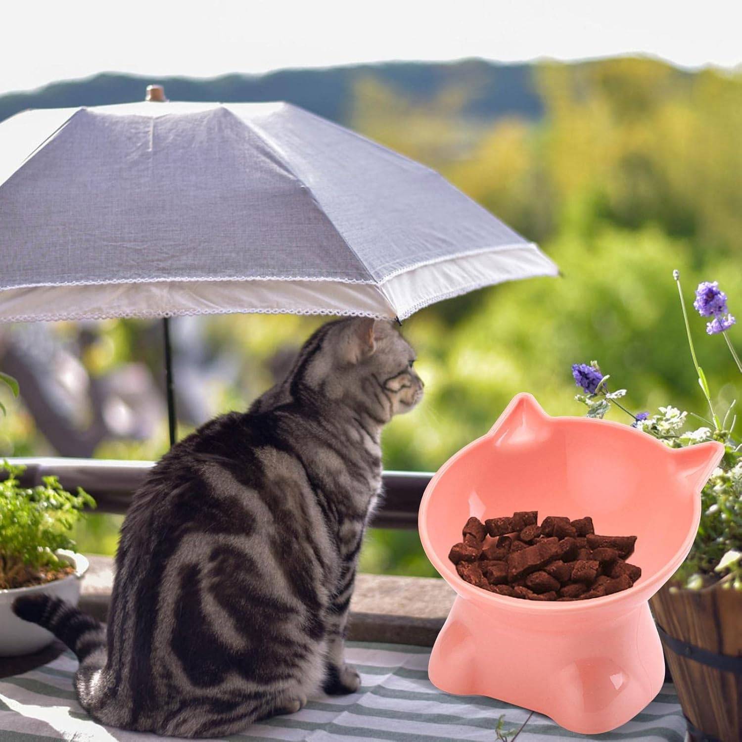 Bol surélevé Anti-Renversement pour Chien/Chat-IntiMeg - Image 7