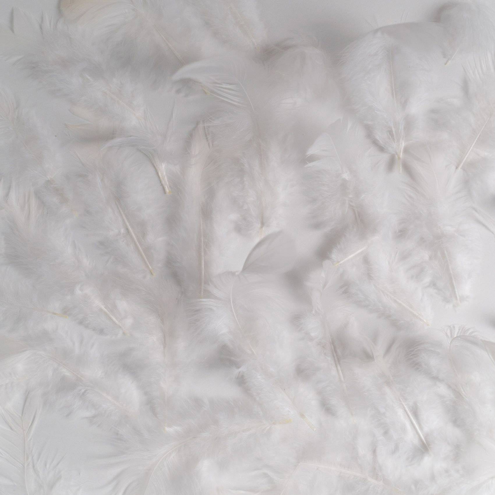 Feeric Christmas - Pluma Boa 1m60 - 12g Blanco - Feeric Lights & Christmas - Imagen 2