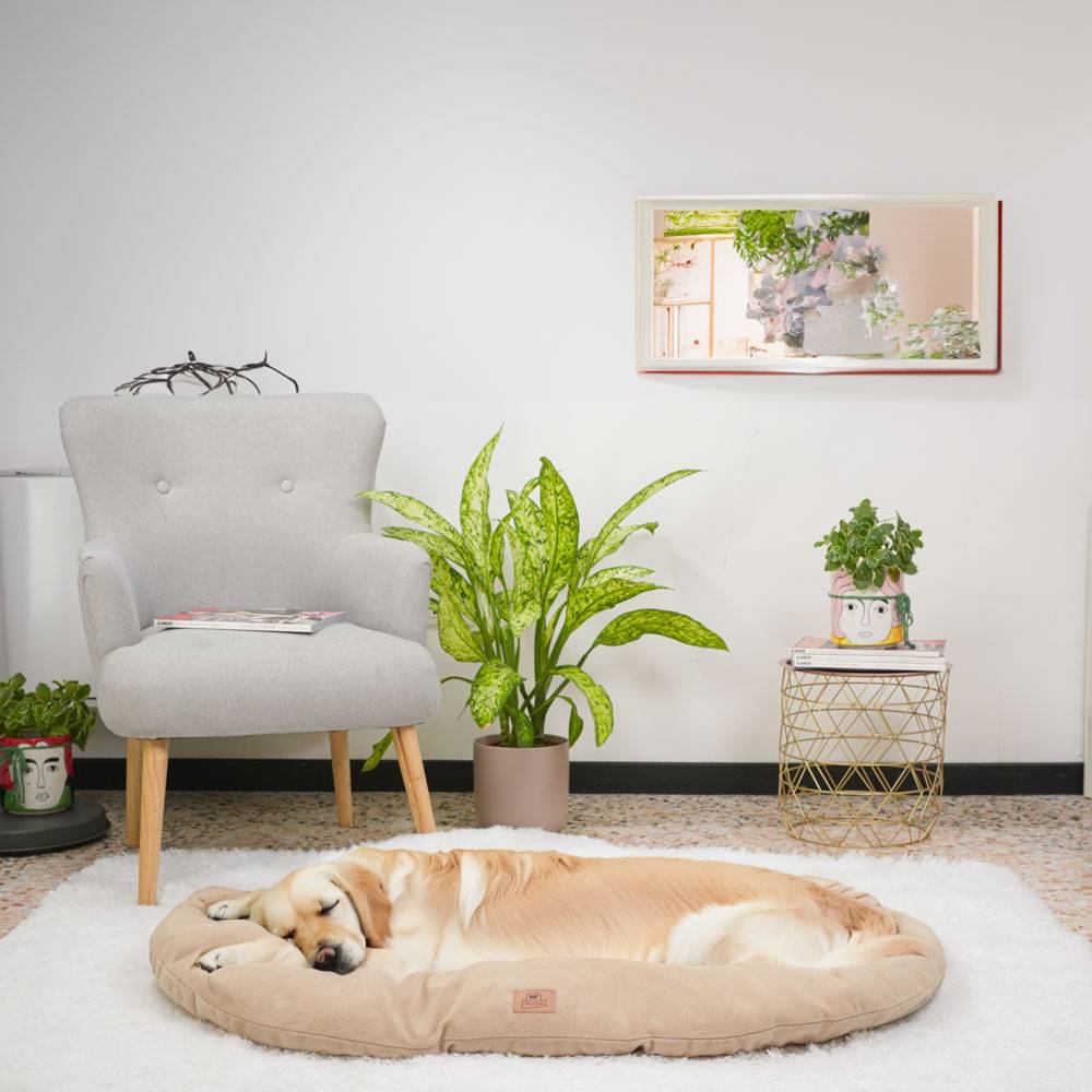 Ferplast - Ferplast Coussin Chien Grande Taille RELAX 100/12 MICROFLEECE, Lit pour Chiens, Animaux Domestiques, Matelas Tapis, Coussin Rembourré pour Panier - Imagen 3
