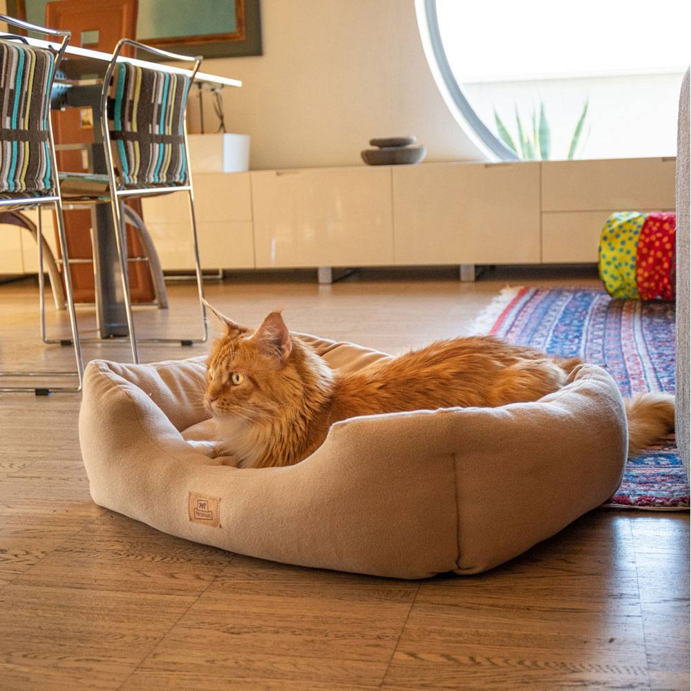 Ferplast - Canapé Lit pour Chiens et Chats COCCOLO MICROFLEECE 60 Doux Micropolaire Lavable Beige - Imagen 3