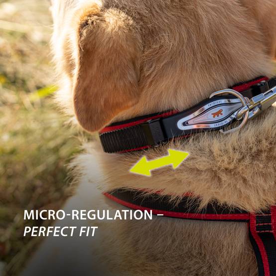 Ferplast - Ferplast Collier Chien ERGOCOMFORT C15/33 Collier pour chien de grande taille, fermeture avec micro-ajustement, rembourrage doux, dégagement rapide, - Imagen 5