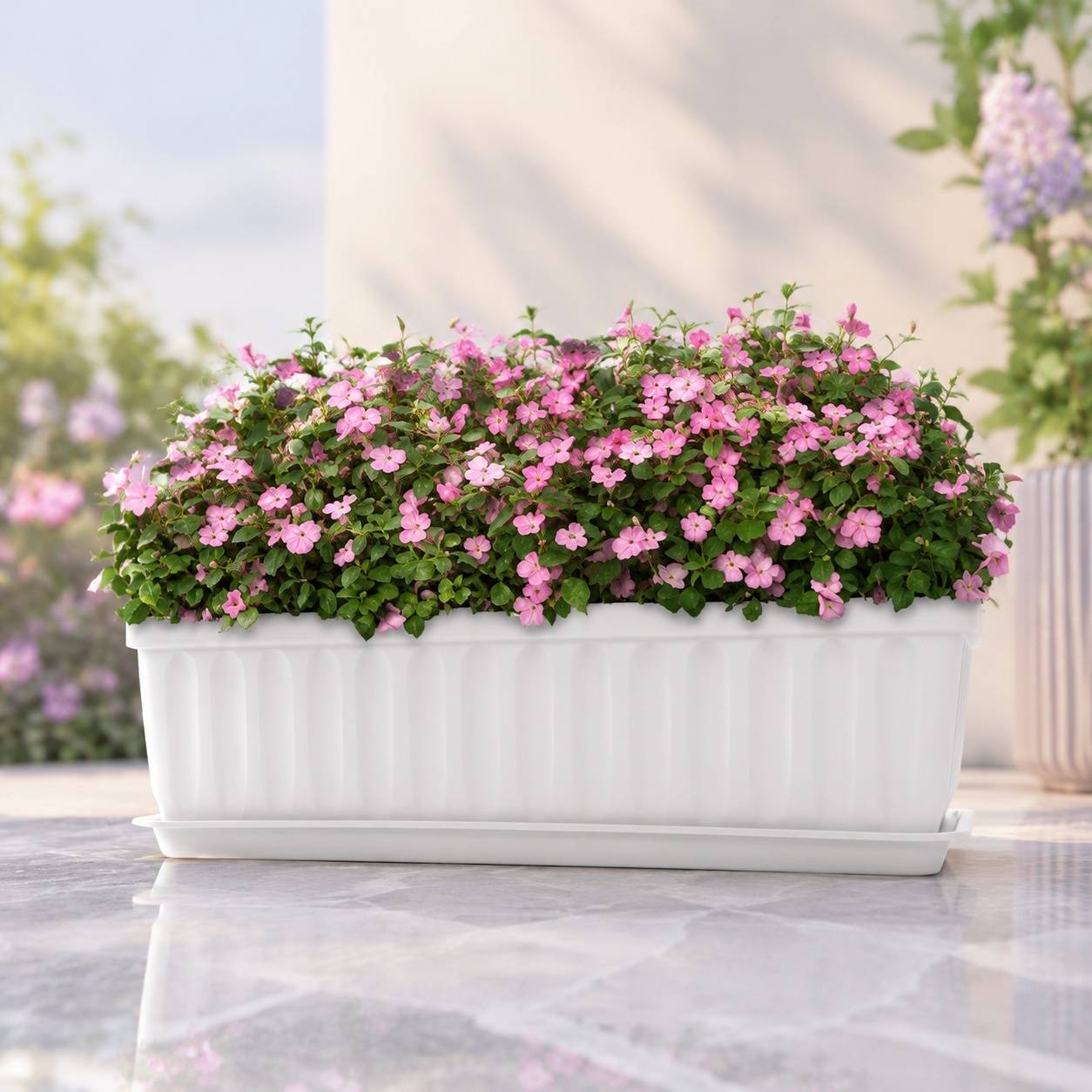 Lot de 4 Jardinières Rectangulaires avec Soucoupe et Étiquettes - Image 7