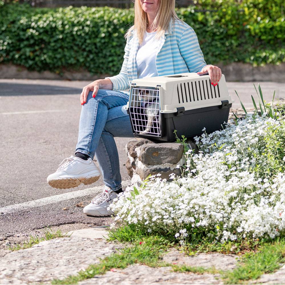 Ferplast - Ferplast Caisse de Transport Chat, Cage de Transport pour Chiens Petits et Chats jusqu'à 5 Kg, Porte en Fer Plastifié, Fentes d'Aération, 32,5 x 48 x - Imagen 3