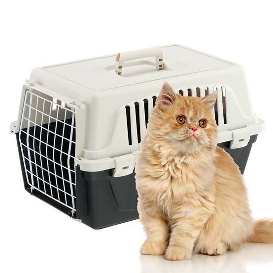 Ferplast - Ferplast Caisse de Transport Chat, Cage de Transport pour Chiens Petits et Chats jusqu'à 5 Kg, Porte en Fer Plastifié, Fentes d'Aération, 32,5 x 48 x - Imagen 7