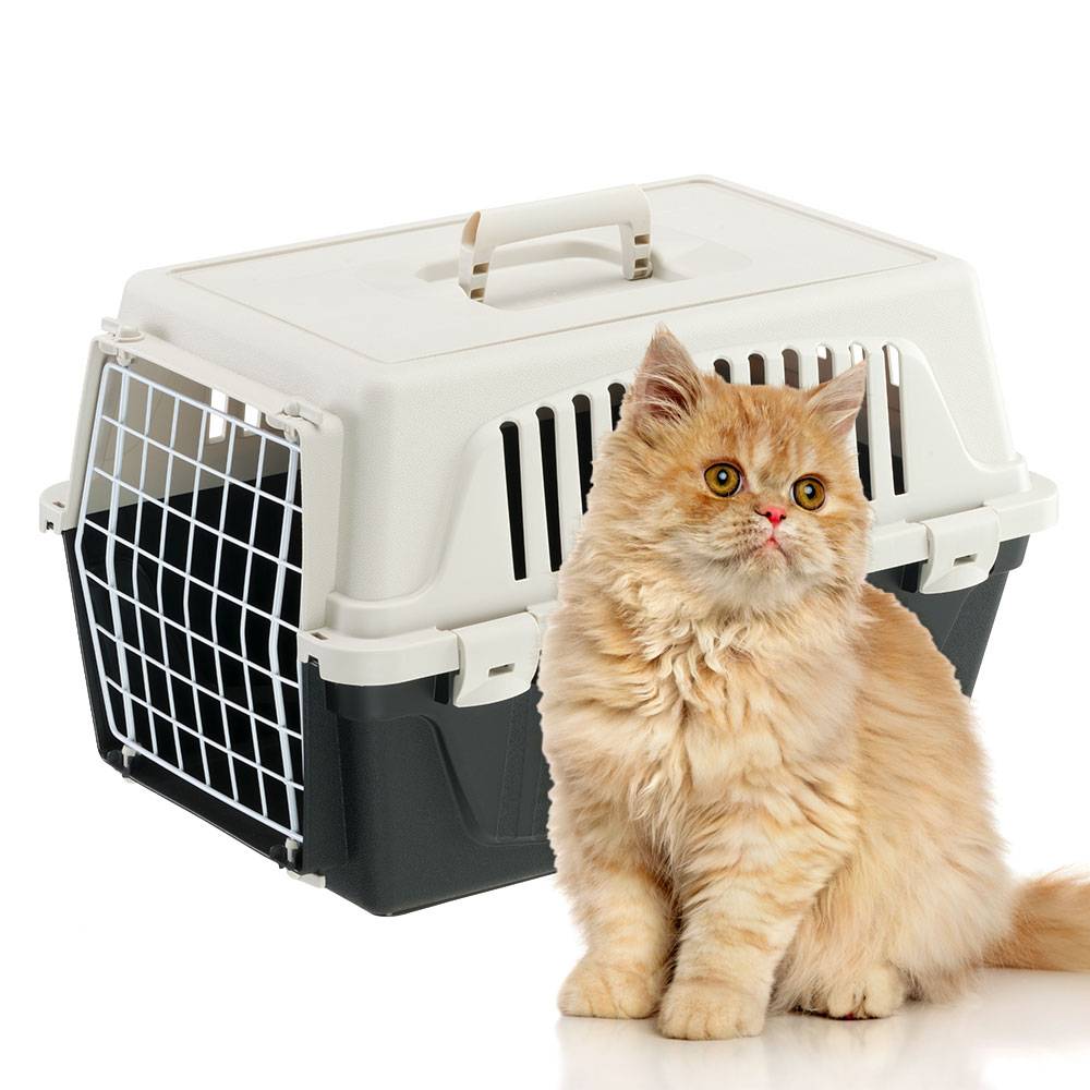 Ferplast - Ferplast Caisse de Transport Chat, Cage de Transport pour Chiens Petits et Chats jusqu'à 5 Kg, Porte en Fer Plastifié, Fentes d'Aération, 32,5 x 48 x - Imagen 7
