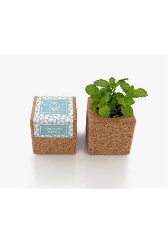 Life In A Bag - Life in a Bag - Grow Cube aimanté Menthe - Image 1