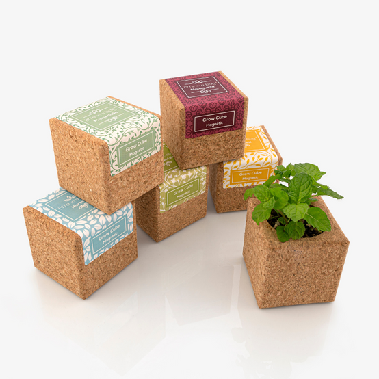 Life In A Bag - Life in a Bag - Grow Cube aimanté Menthe - Image 4
