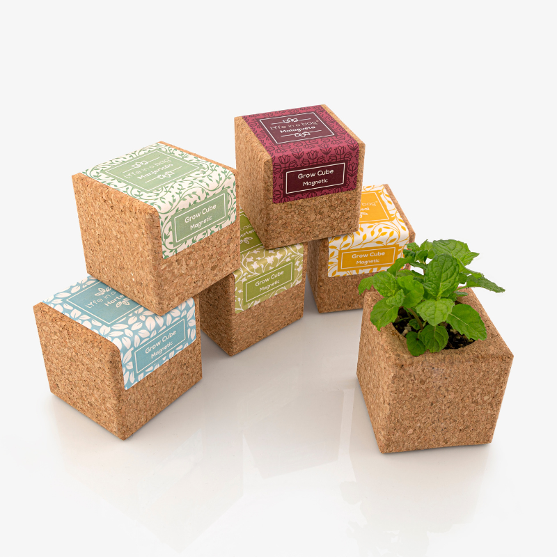 Life In A Bag - Life in a Bag - Grow Cube aimanté Menthe - Image 4