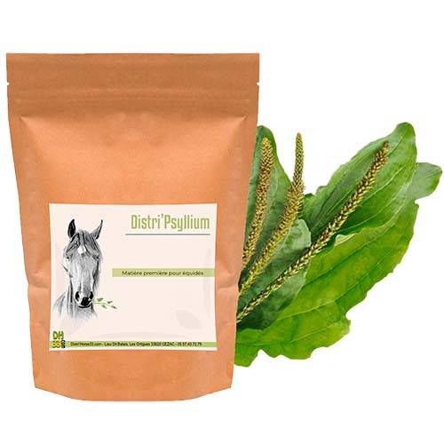 Psyllium cheval - Colique de sable - 500g - Distri’Horse33 - Imagen 1