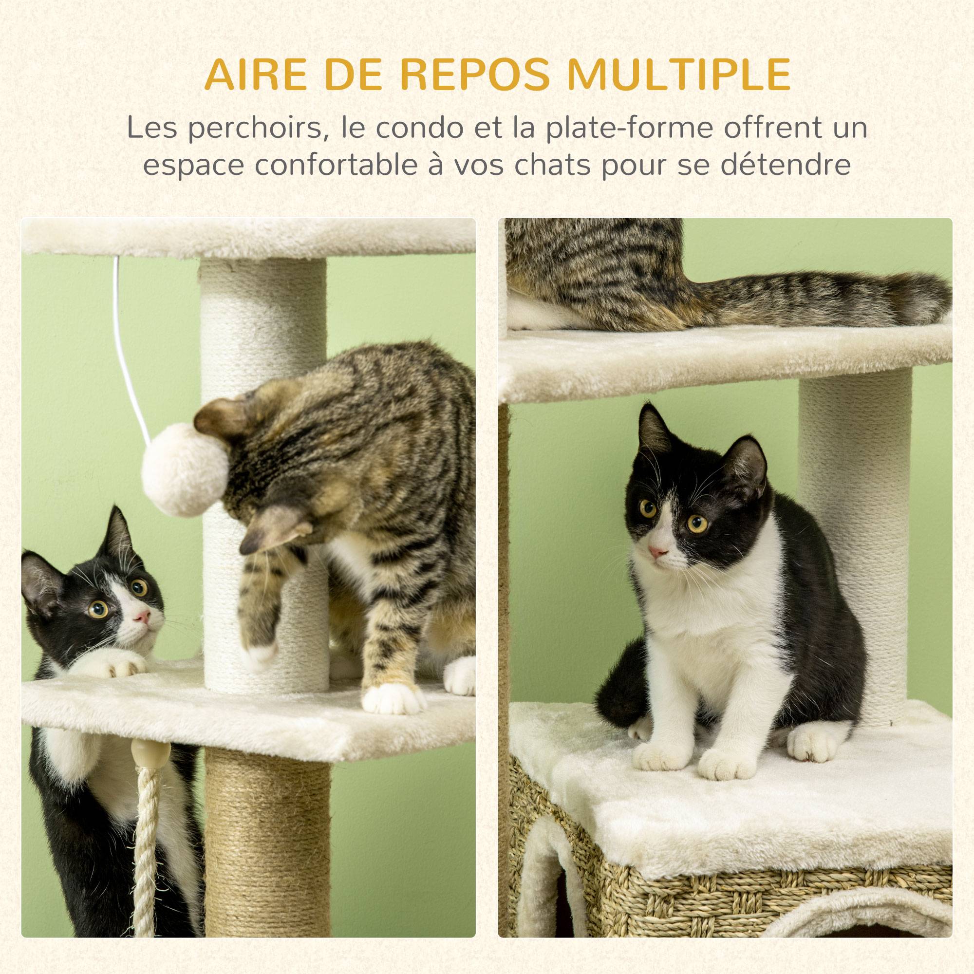 Pawhut - Arbre à chat style cosy chic griffoirs sisal naturel niche plateformes corde jeu boule peluche courte cordes d'algues tressées - Imagen 6
