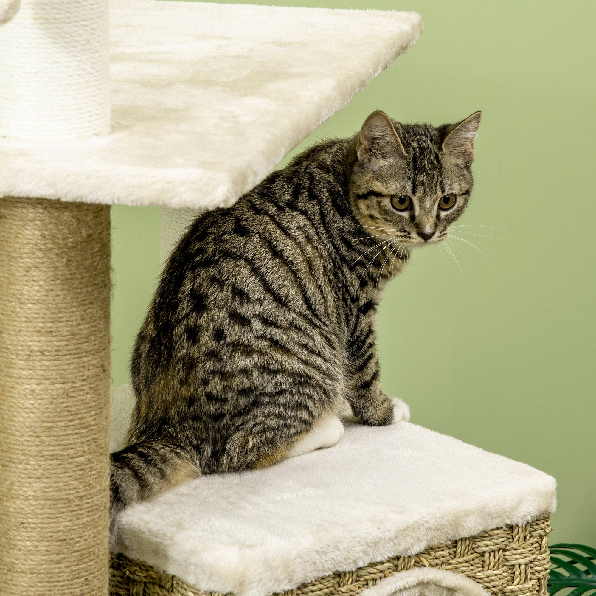 Pawhut - Arbre à chat style cosy chic griffoirs sisal naturel niche plateformes corde jeu boule peluche courte cordes d'algues tressées - Imagen 8