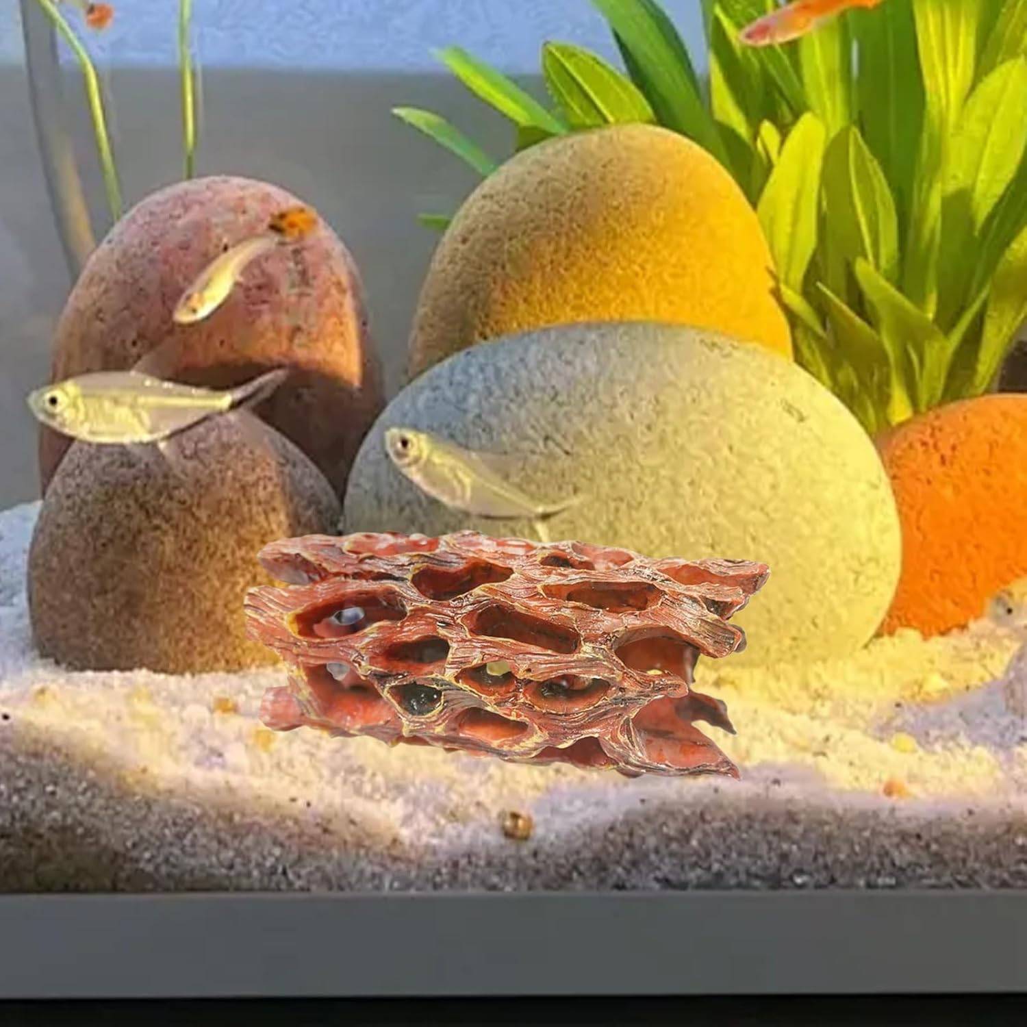 Grotte en Mousse Aquatique - Habitat Biofilm pour Crevettes DtopbuyAge - Image 3