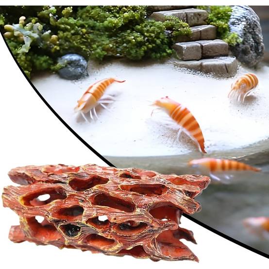 Grotte en Mousse Aquatique - Habitat Biofilm pour Crevettes DtopbuyAge - Image 4