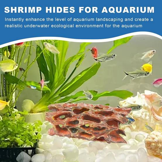 Grotte en Mousse Aquatique - Habitat Biofilm pour Crevettes DtopbuyAge - Image 2