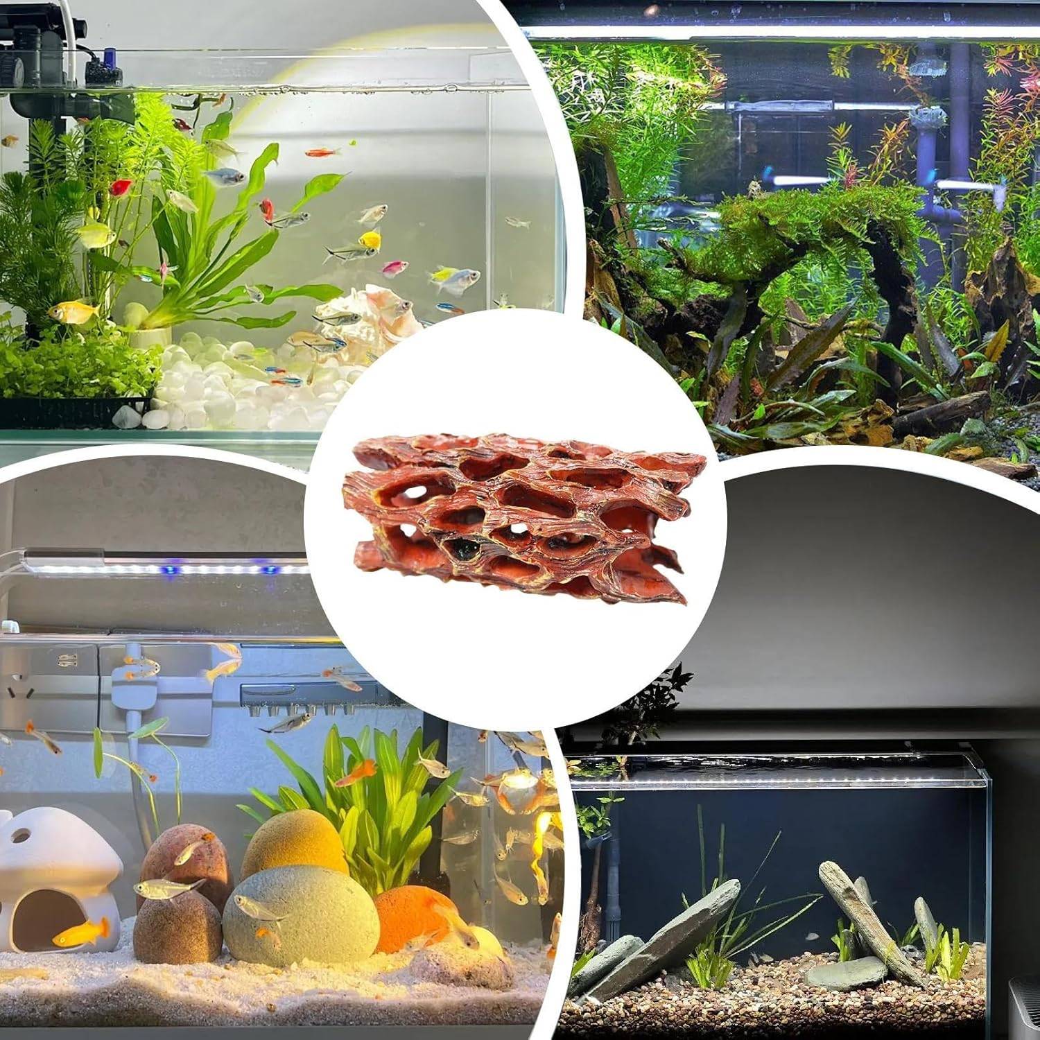 Grotte en Mousse Aquatique - Habitat Biofilm pour Crevettes DtopbuyAge - Image 5