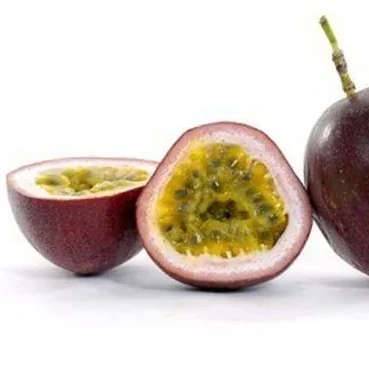 0 - Passiflora edulis var. morada (Fruit de la passion ) Pot de 9 litres -140/160 cm - Image 3