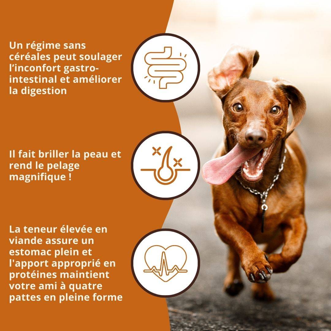 Wildfang - Wildfang — Aliment pour poulets adultes sans céréales - 2 kg d'aliment sec et 6 sachets de 400 g d'aliment humide - Image 5