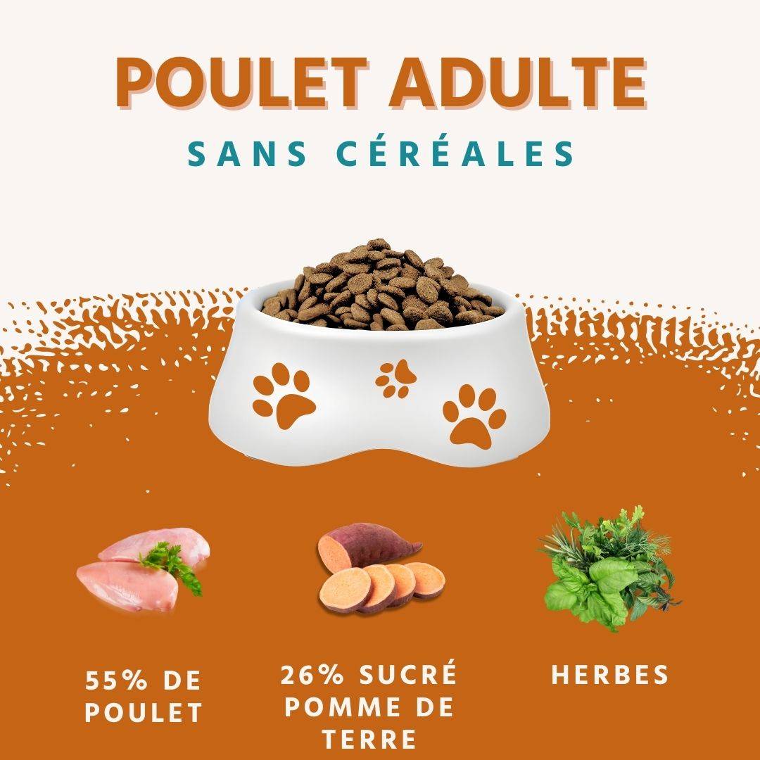 Wildfang - Wildfang — Aliment pour poulets adultes sans céréales - 2 kg d'aliment sec et 6 sachets de 400 g d'aliment humide - Image 2