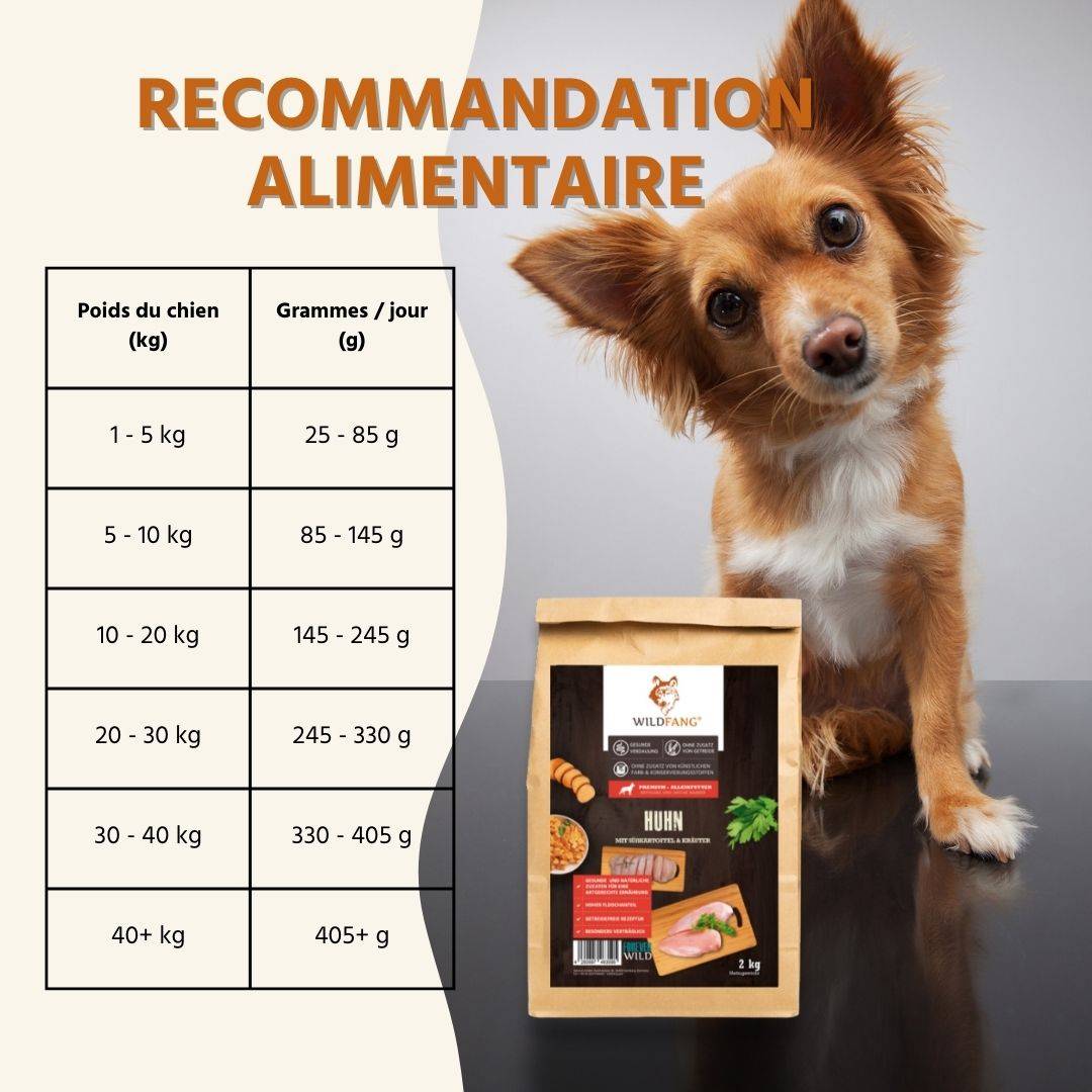 Wildfang - Wildfang — Aliment pour poulets adultes sans céréales - 2 kg d'aliment sec et 6 sachets de 400 g d'aliment humide - Image 4