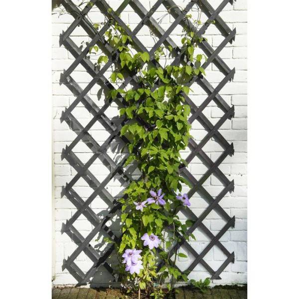Treillis extensible - NATURE - Bois - 150 x 50 cm - Anthracite - Avec set de fixation - Image 3