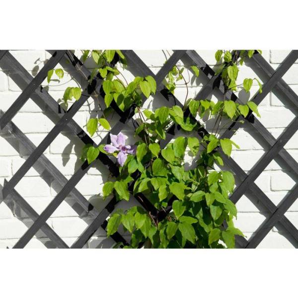 Treillis extensible - NATURE - Bois - 150 x 50 cm - Anthracite - Avec set de fixation - Image 2