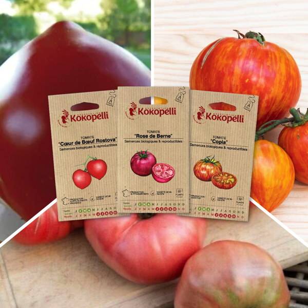 Tomates savoureuses - 3 sachets de graines bio à semer - Imagen 1
