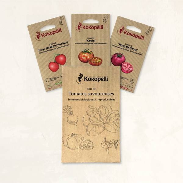 Tomates savoureuses - 3 sachets de graines bio à semer - Imagen 2
