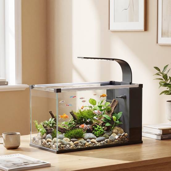 Sans Marque - Aquarium 43L en Verre Trempé avec Tapis de Protection Pour Poissons, Crevettes, Tortues, 50 x 30 x 30 cm, Transparent - Image 3