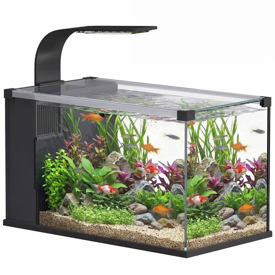 Sans Marque - Aquarium 43L en Verre Trempé avec Tapis de Protection Pour Poissons, Crevettes, Tortues, 50 x 30 x 30 cm, Transparent - Image 1