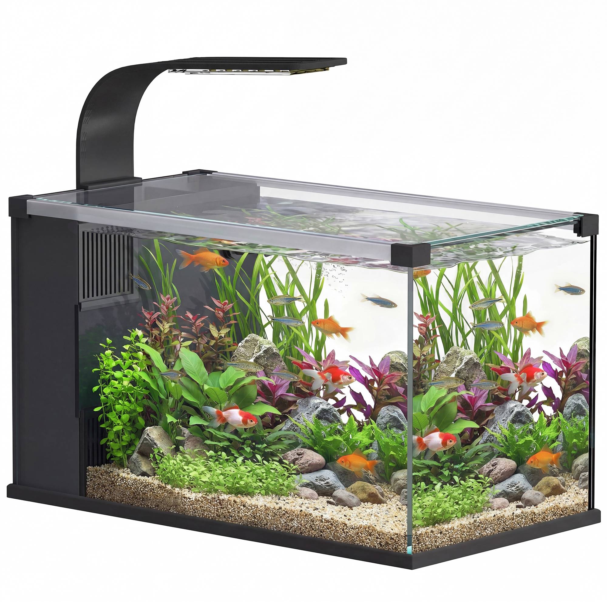 Sans Marque - Aquarium 43L en Verre Trempé avec Tapis de Protection Pour Poissons, Crevettes, Tortues, 50 x 30 x 30 cm, Transparent - Image 1